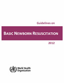 Guidelines on Basic Newborn Resuscitation